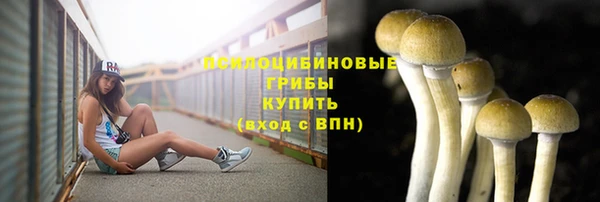 jwh Гусиноозёрск