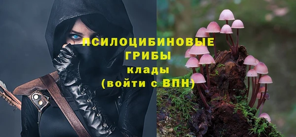 кокаин Гусев