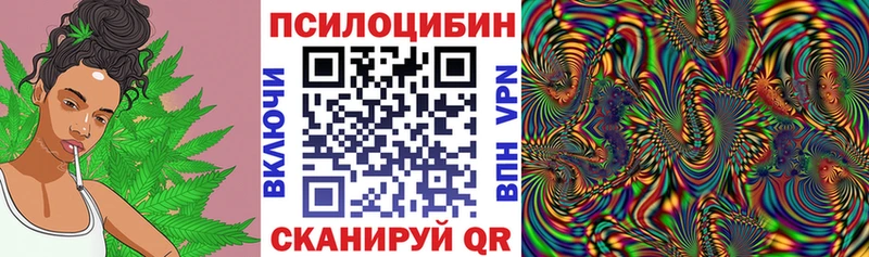 Галлюциногенные грибы MAGIC MUSHROOMS blacksprut ссылки Петропавловск-Камчатский